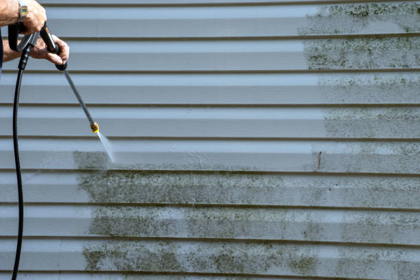 Demolition Debris Removal in Pine Manor, FL